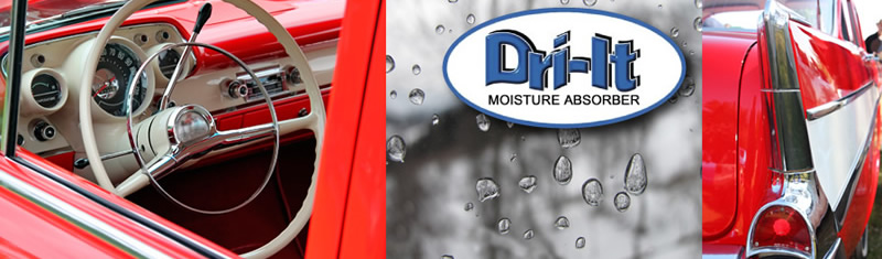 Protect Your Stored Vehicle's Interior from Molds & Mildew